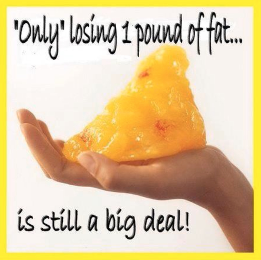 only-1-pound-of-fat.jpg